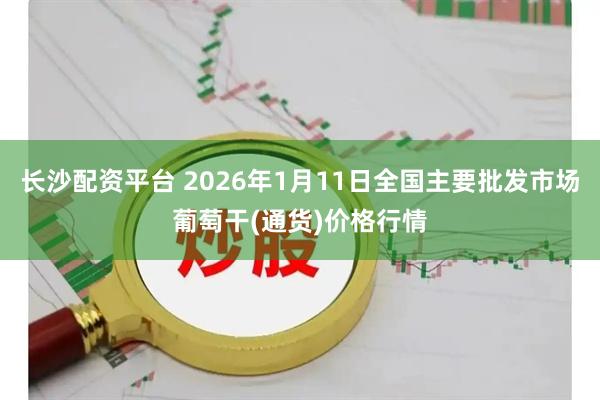 长沙配资平台 2026年1月11日全国主要批发市场葡萄干(通货)价格行情