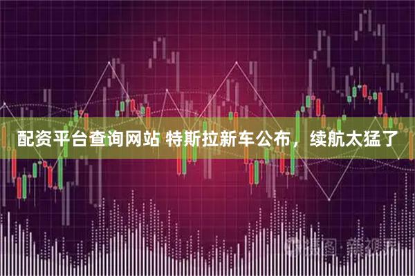 配资平台查询网站 特斯拉新车公布，续航太猛了